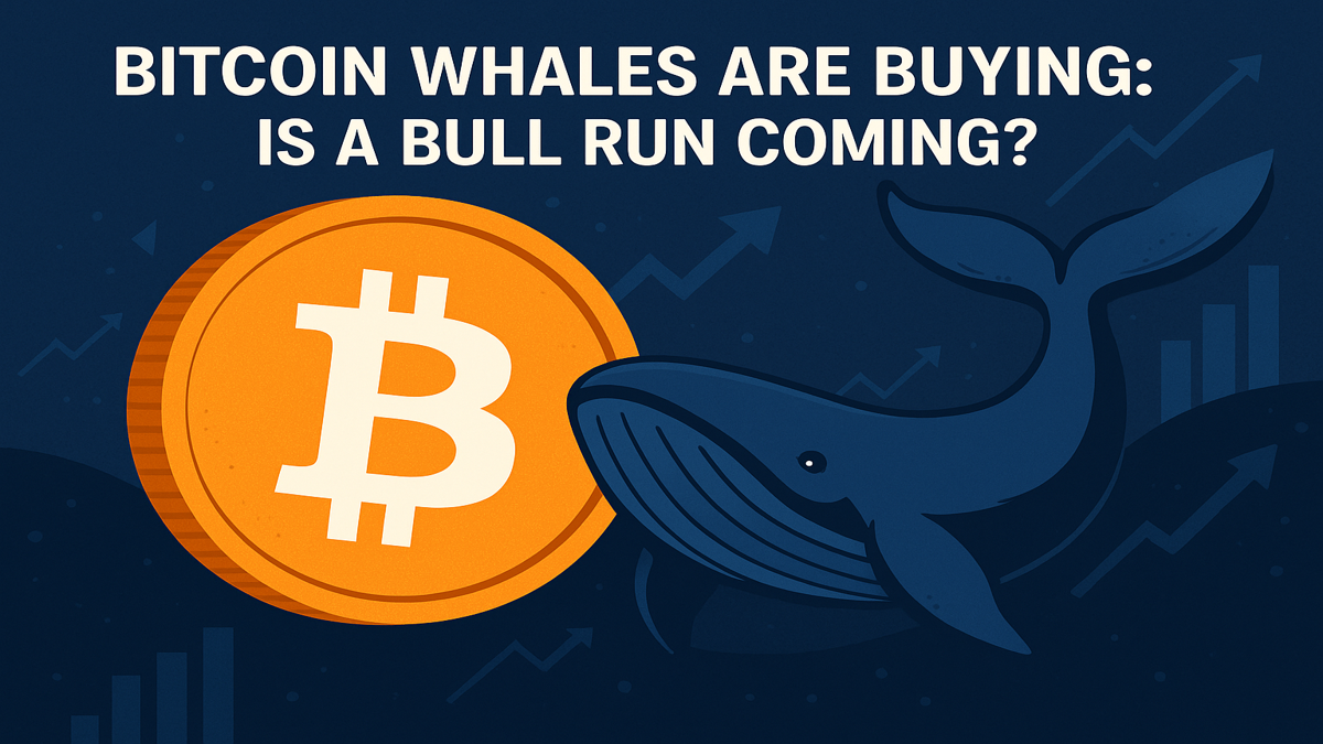 Bitcoin Whales Are Buying: Is a Bull Run Coming